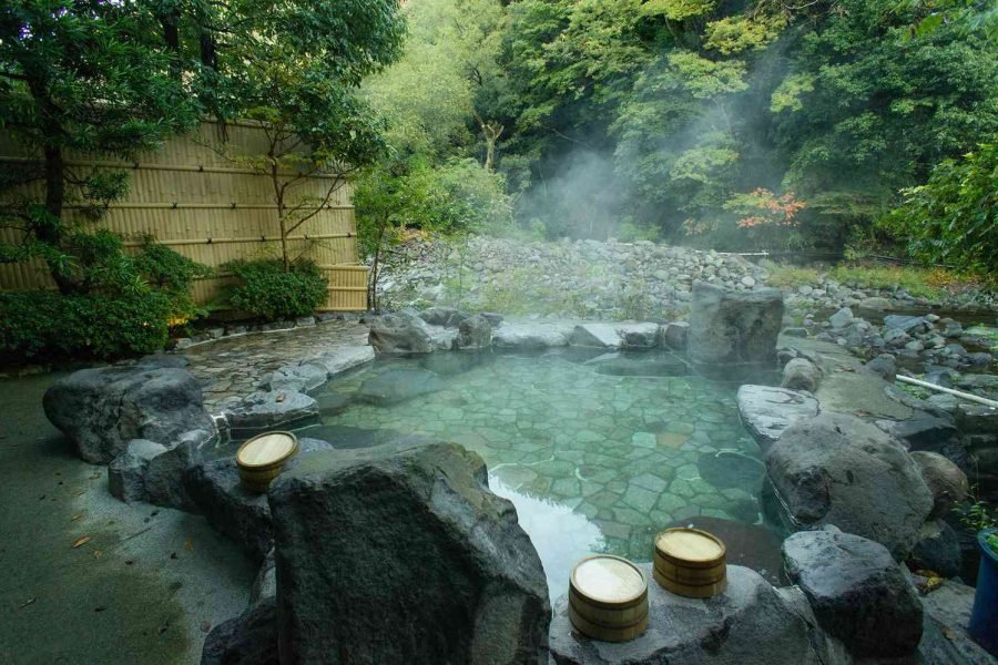 Wellness Kobe (Japan)
