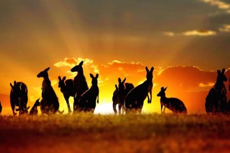 Sydney Wollongong BlueMoutains (Australia)