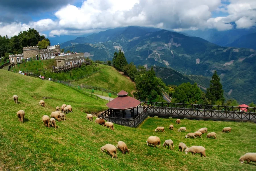 Farm Stay Health Dietary (Taiwan)