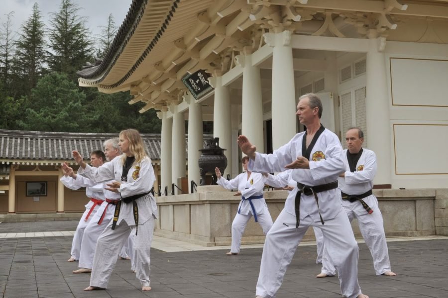 Taekwando for Elderly (South Korea)